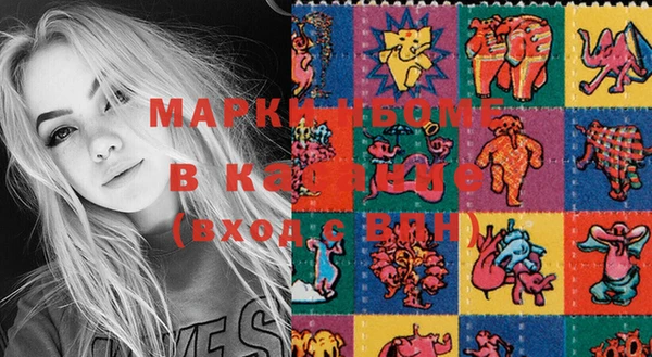 индика Няндома