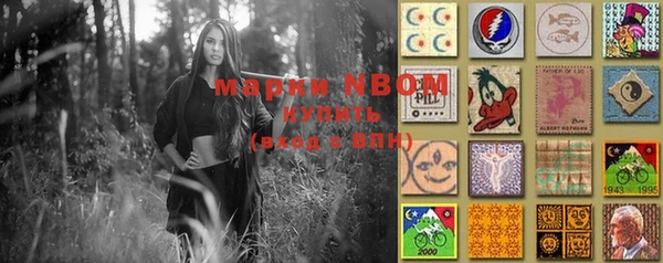 индика Няндома